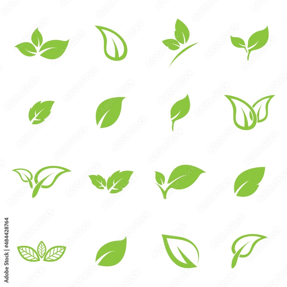 leaf logo icon vector design template