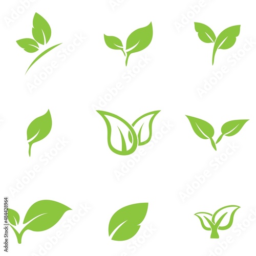 leaf logo icon vector design template