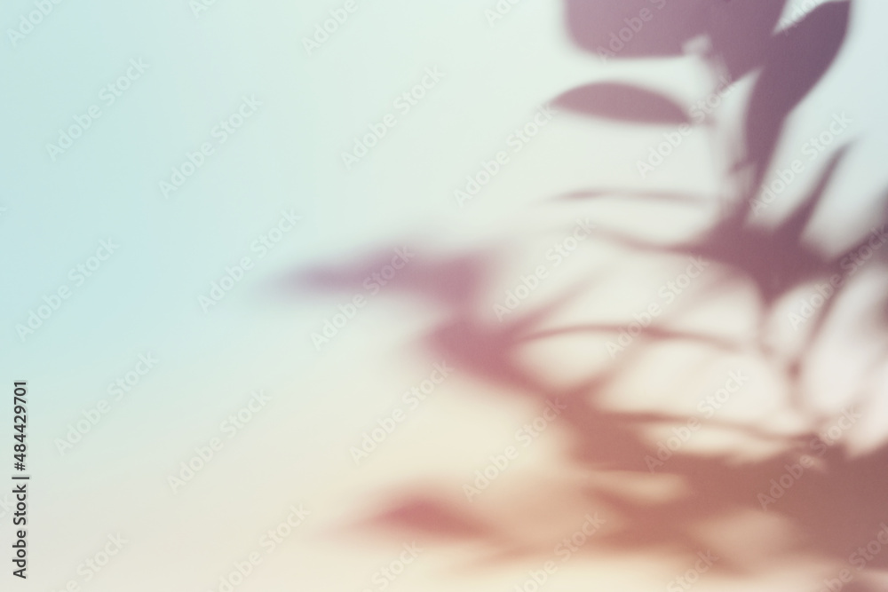 Obraz premium Natural foliage shadow on gradient paper background. Abstract pastel floral backdrop. Soft light