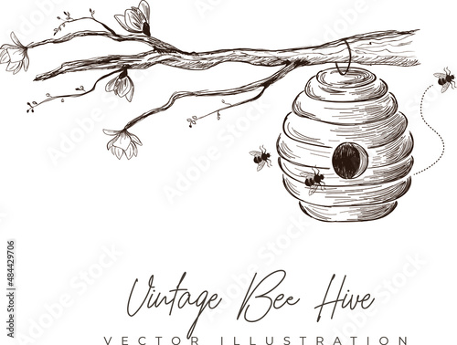 Vintage hand-drawn bee hive photo