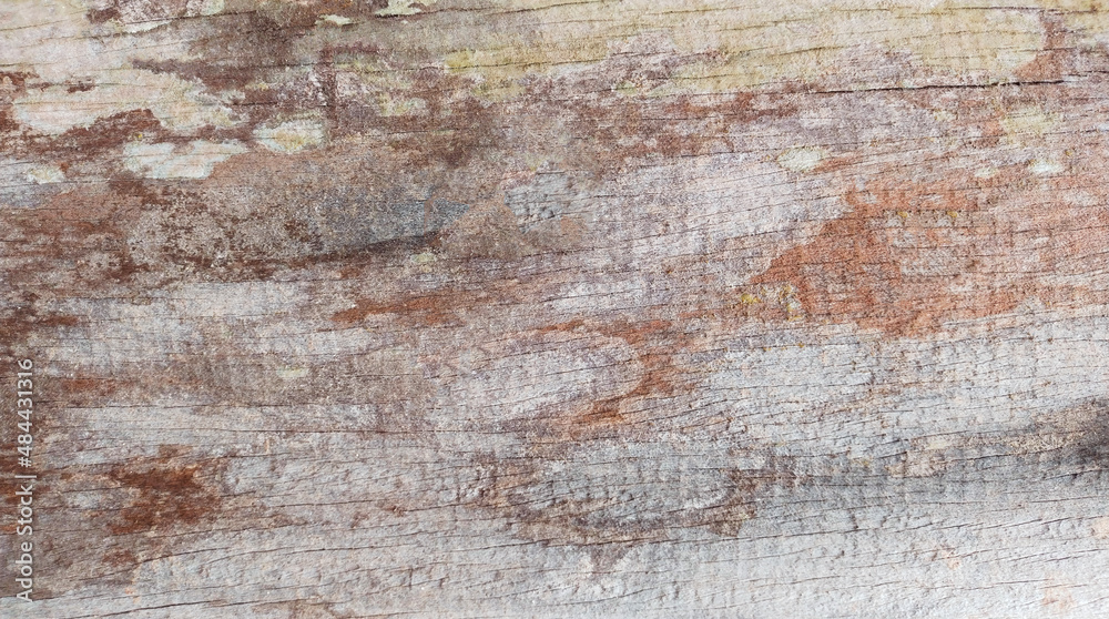 Old wooden texture with beautiful natural patterns in retro concept Old wooden texture with beautiful natural patterns in retro concept