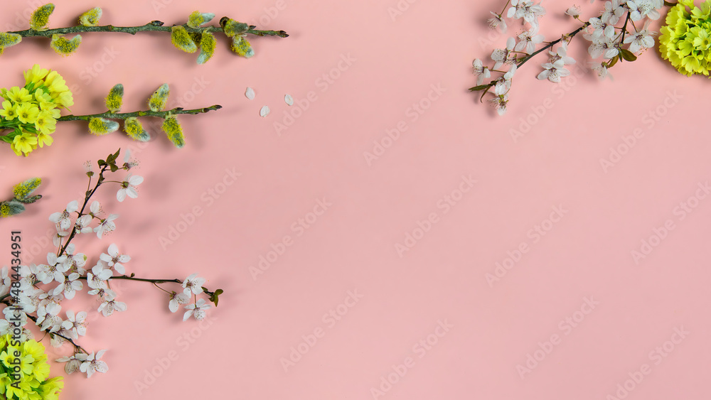 Flowering branches, cherry twigs and yellow flowers with pussy willow catkins on pink background. Spring, easter season border background, banner. Springtime floral, flat lay with copy space.