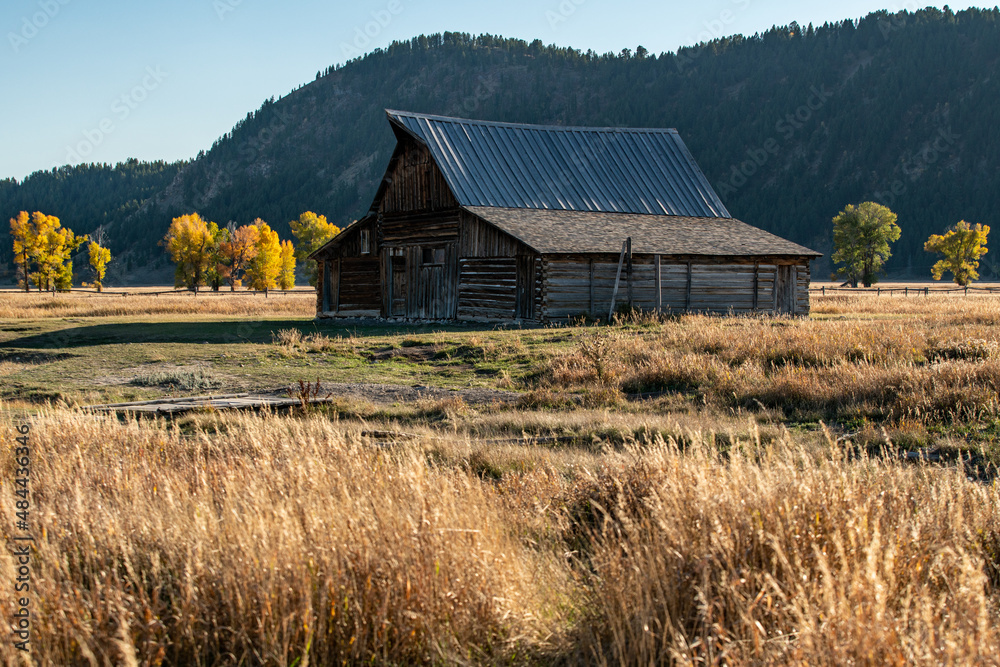 Old barn at Mormon Row during Autumn