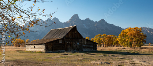 Panoramic of old barn during Fall in the Tetons