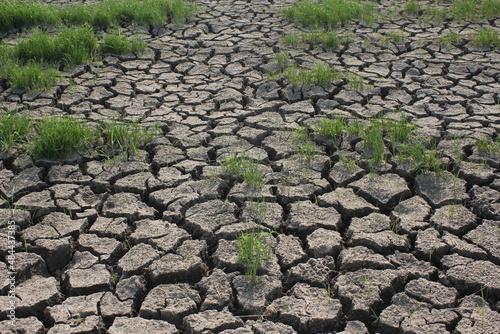 Soil drought conditions in Asian countries