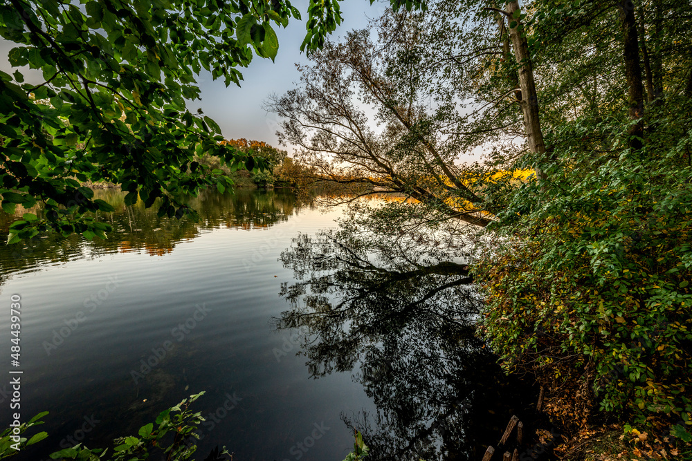 Der Boberger See im Naturschutzgebiet Boberger Niederung in Hamburg Der Boberger See im Naturschutzgebiet Boberger Niederung in Hamburg