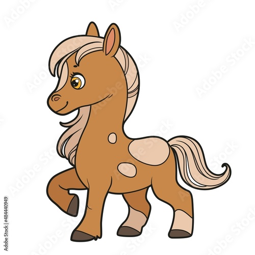 Cute cartoon little horse color variation for coloring book on white background