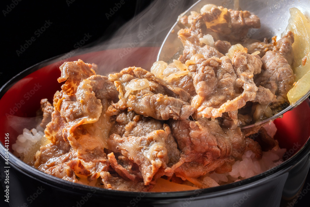牛丼のイメージ 牛丼のイメージ