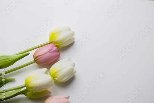 Fototapeta Naklejka Na Ścianę i Meble -  tulipany piekne kwiaty