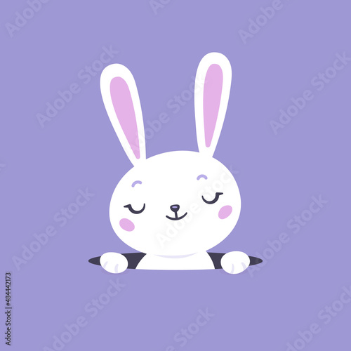Cute Easter bunny coming out from a hole vector flat kawaii cartoon illustration.