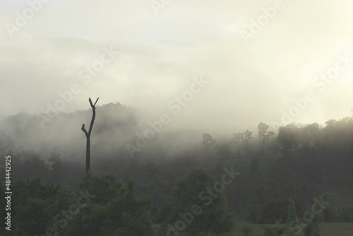 Mountain range with visible silhouettes through the morning colorful fog