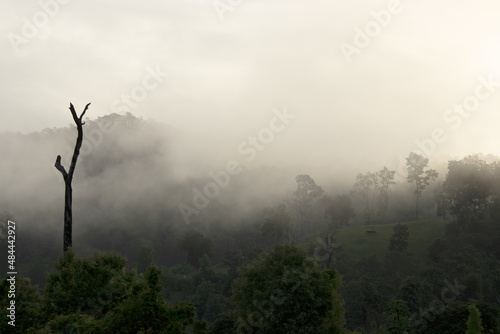 Mountain range with visible silhouettes through the morning colorful fog