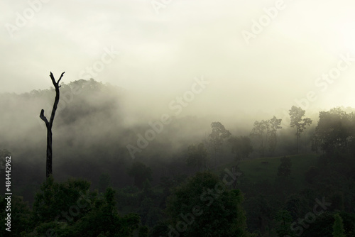 Mountain range with visible silhouettes through the morning colorful fog