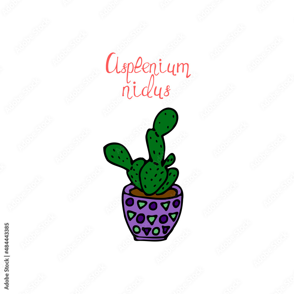 Simple vector illustration. Funny plant. Background image for banner, greeting card, invitation, decoration. Simple vector illustration. Funny plant. Background image for banner, greeting card, invitation, decoration.