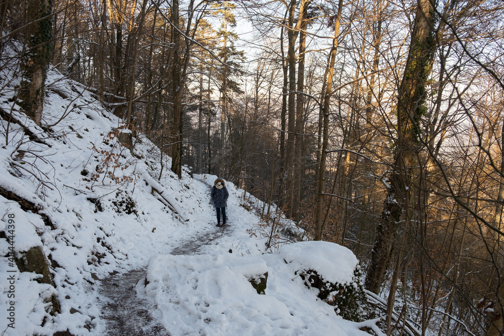 Woman walking on a path in the snow and a forest of mountain Woman walking on a path in the snow and a forest of mountain