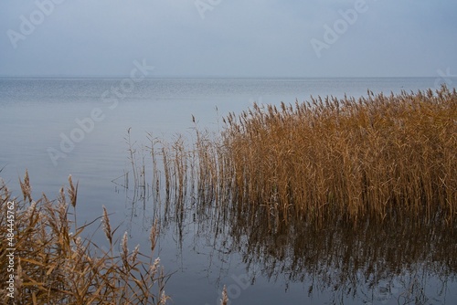 Baltic Sea nature outdoor