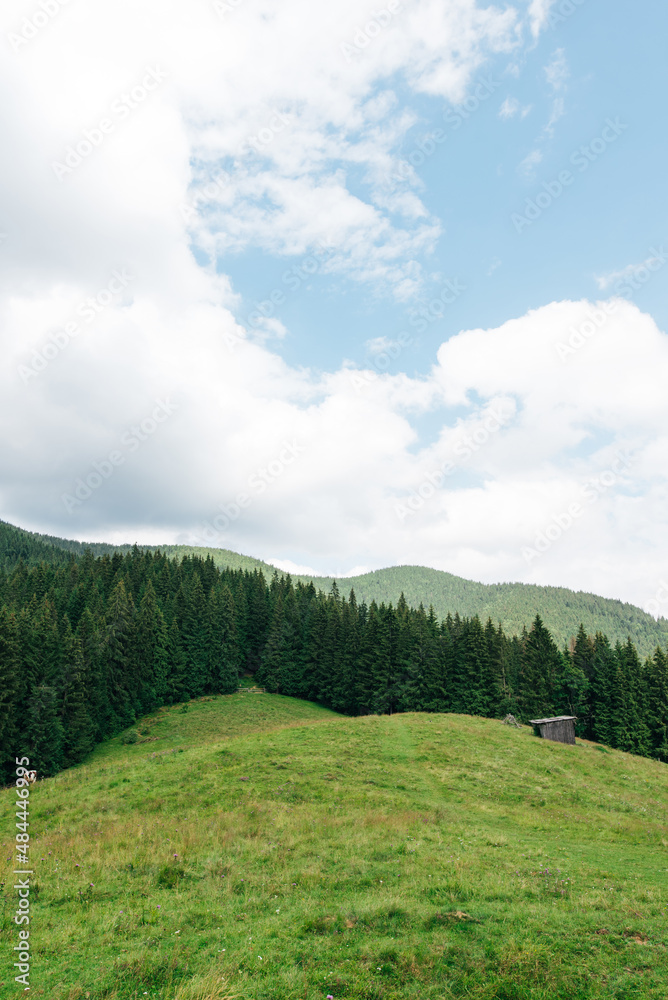 Beautiful mountain landscape with a meadow and a wooden barn in the mountains on the backdrop of a coniferous forest. Vertical.