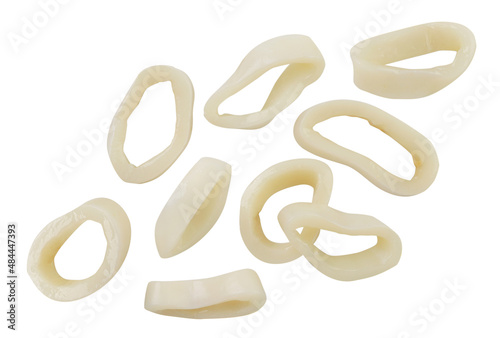 Falling rings of colmar on a white background, cut. Isolated
