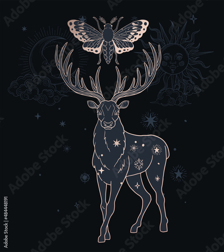 abstract illustration with deer, moth - sacred esoteric symbols, black and gold