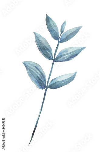 Branch with leaves. Watercolor illustration. Hand painted © Alena