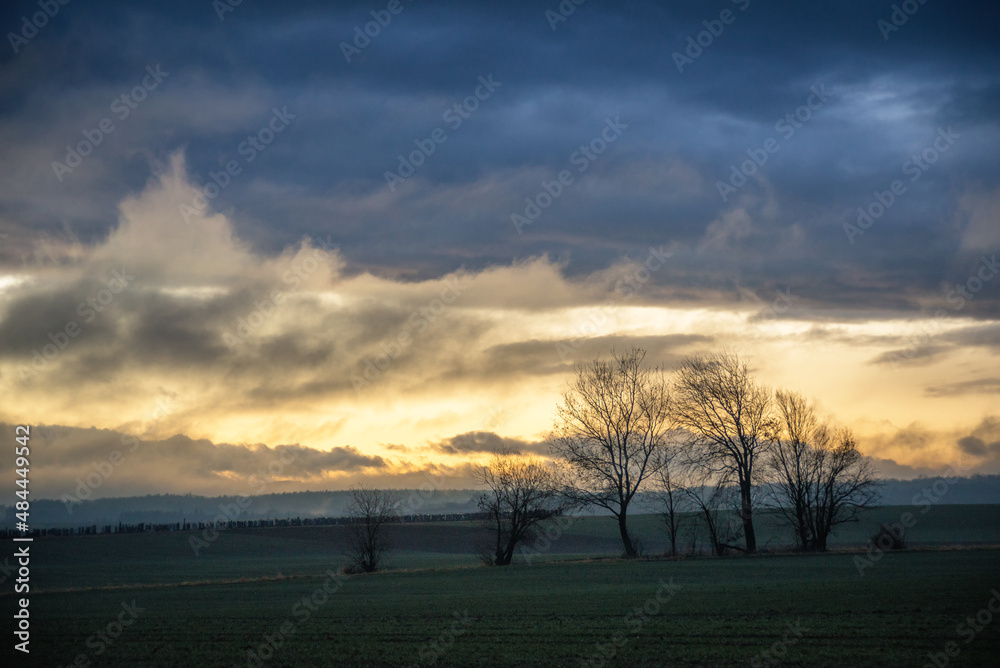  Evening landscape - sky with clouds over the meadows and forest.