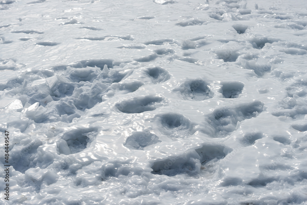 footstep in the frozen, glassy snow footstep in the frozen, glassy snow