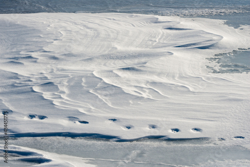 tracks in snow