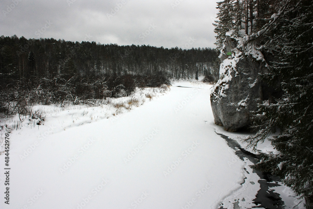 Winter forest covered with snow Winter forest covered with snow