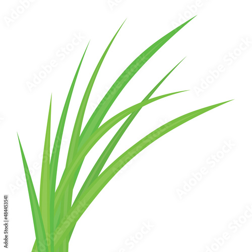 blades of green grass- vector illustration