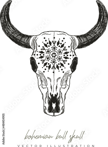 Bohemian bull skull drawing