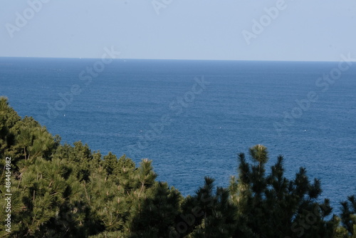 Wallpaper Mural 22-01-22-01 Torontodigital.ca