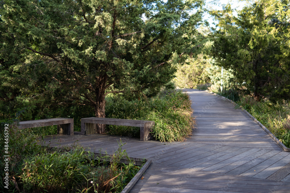 Path with Benches and Green Plants at Hudson River Park in New York City during the Summer
