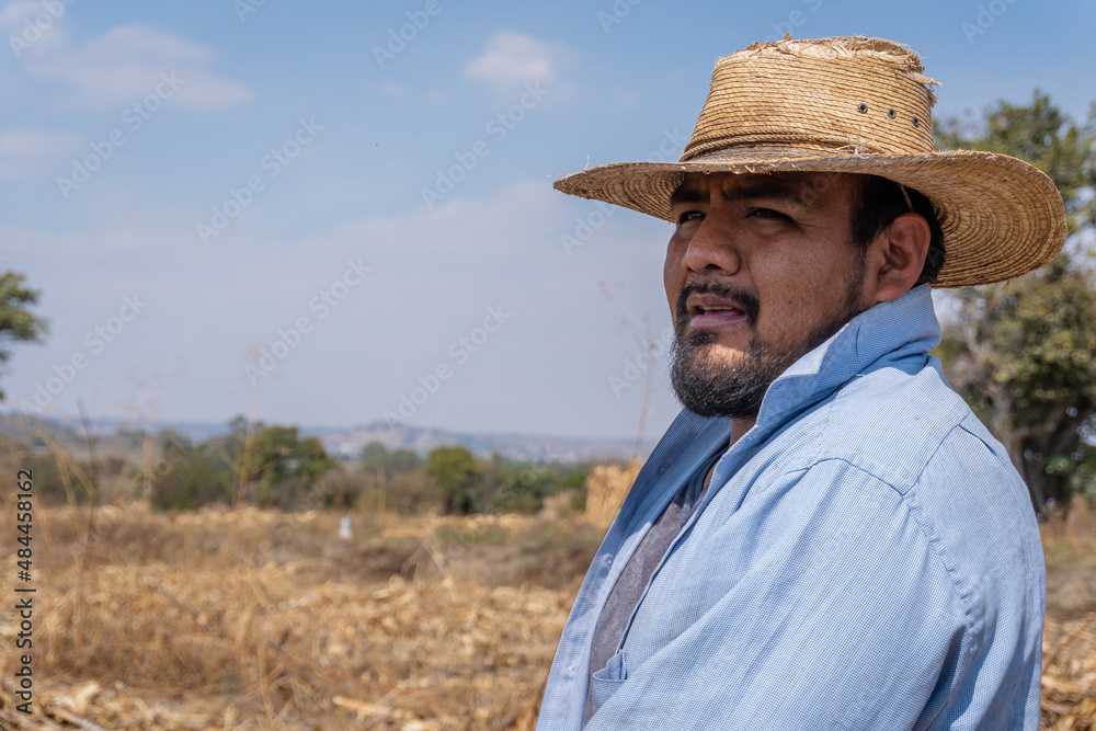 Man with hat in a field of corn
