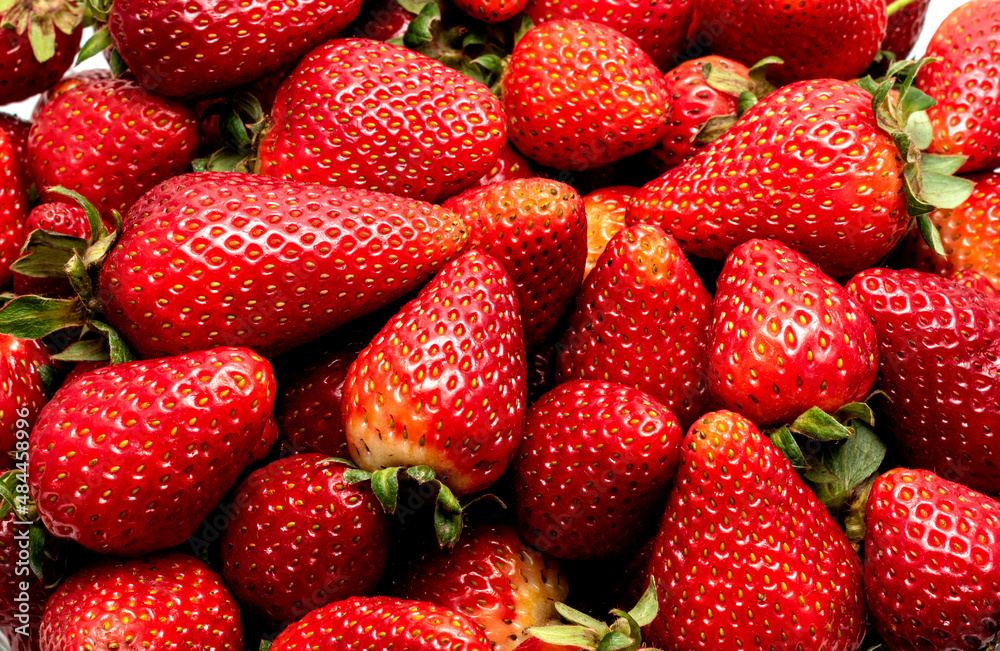 Fresh Strawberry Background Fresh Strawberry Background