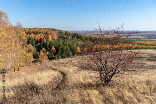 A hill overgrown with dry grass. Road descending to mixed autumn forest. In the distance is a lonely mountain and the city of Sterlitamak.