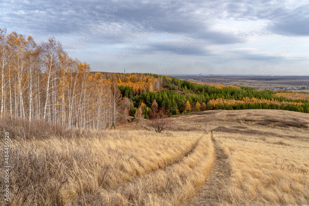A hill overgrown with dry grass. Road descending to mixed autumn forest. In the distance is a lonely mountain and the city of Sterlitamak.