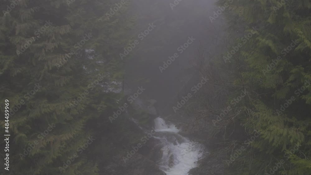 Water Creek in Canadian Nature with green trees during foggy winter day. Located near Harrison Lake, British Columbia, Canada. Water Creek in Canadian Nature with green trees during foggy winter day. Located near Harrison Lake, British Columbia, Canada.