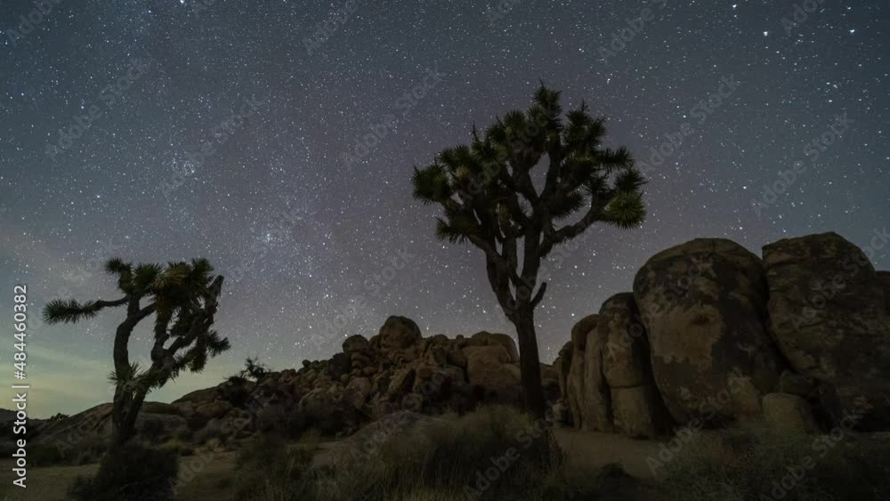 Time Lapse Starry Night Sky Stars Milky Way Polaris over Joshua Trees ...
