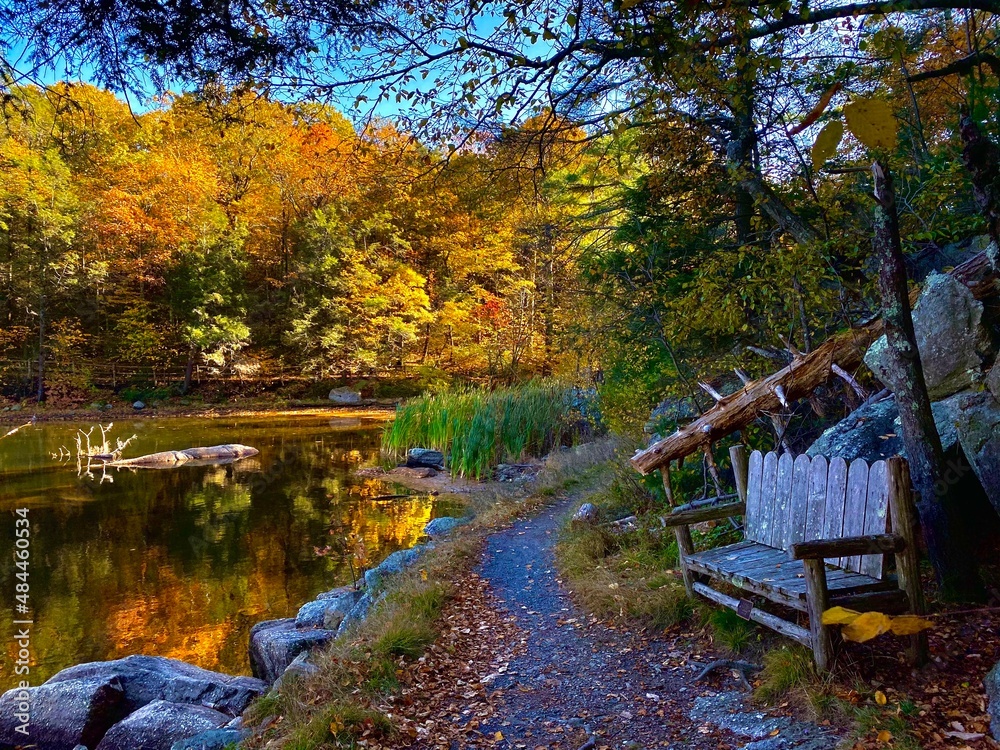 Obraz premium autumn in the park