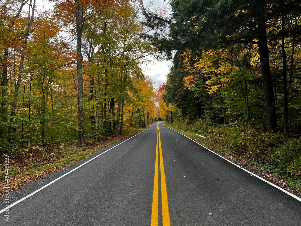 road in autumn road in autumn
