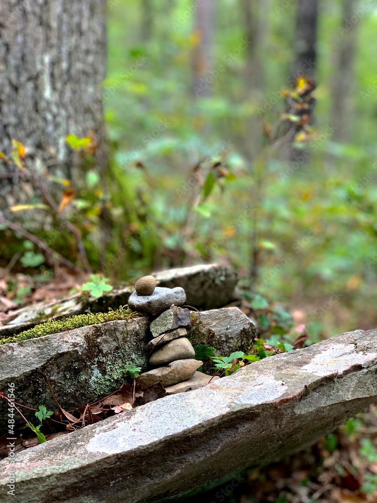 stump in the forest and stone pyramid stump in the forest and stone pyramid