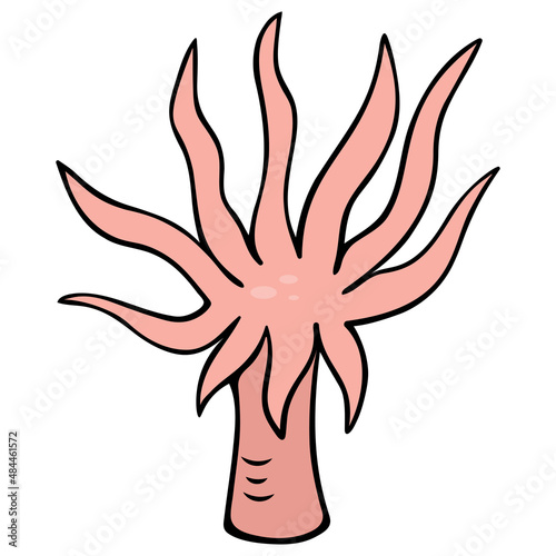 Actinia. Sea anemone. Sea animal in the form of a flower. Aquatic invertebrate animal. Vector illustration. Coral polyp. Cartoon style. Outline on isolated background. Ocean dweller. 
