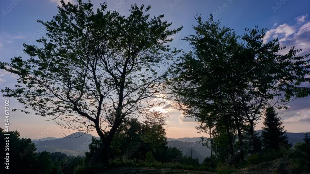 Deciduous trees on a sunny summer day. The sun shines through the trees. Clouds in the blue sky Deciduous trees on a sunny summer day. The sun shines through the trees. Clouds in the blue sky