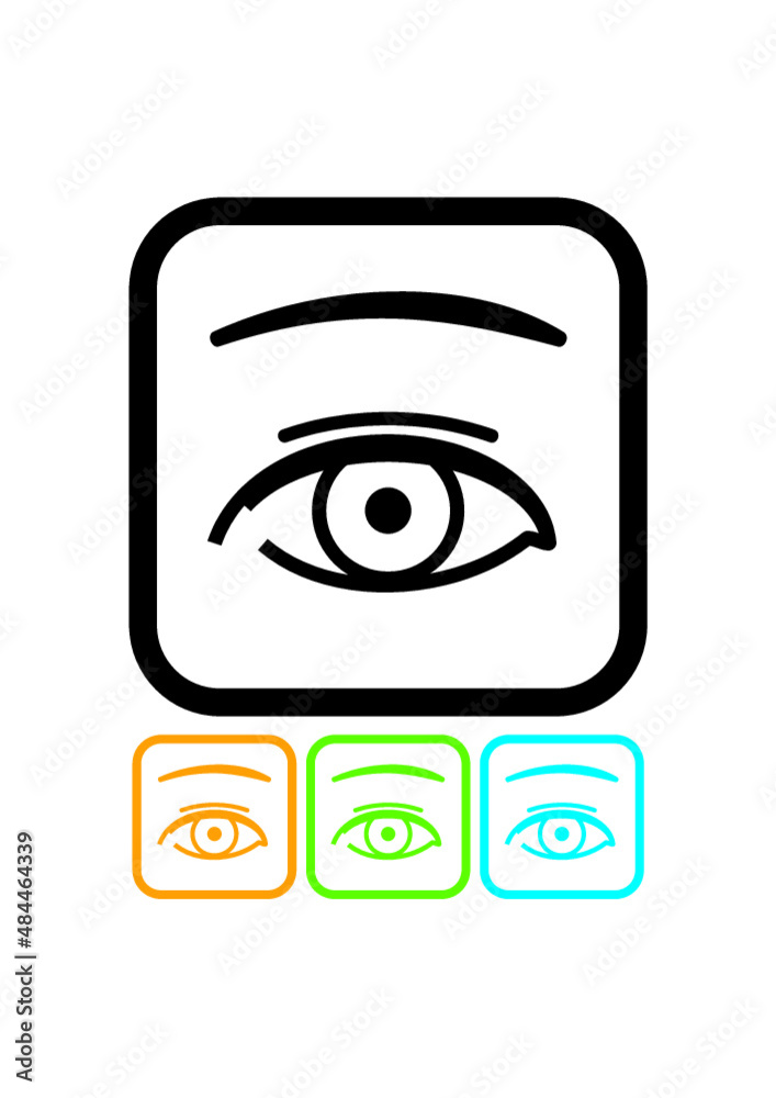 Female eye. Eyelashes, eyebrows, contacts. Vector icon isolated