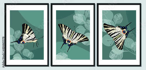 Collection of contemporary art posters. Abstract leaves and butterflies. Great design for social media, postcards, print. © Любовь Овсянникова