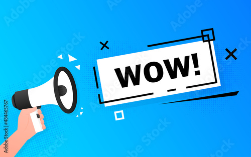Megaphone blue banner with wow sign. Vector illustration