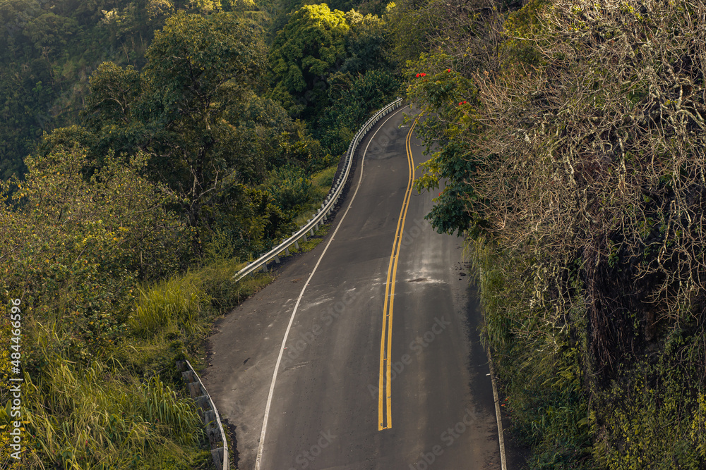 Nature scene from Road to hana on Maui, Hawai, 2022