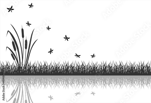The black silhouette of marsh grass with flying insects, dragonflies is reflected in the water.