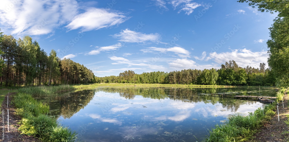 Śródleśny zbiornik leśny na Roztoczu Wschodnim, Łówcza