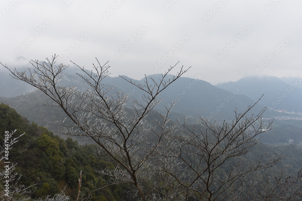 fog in the mountains fog in the mountains